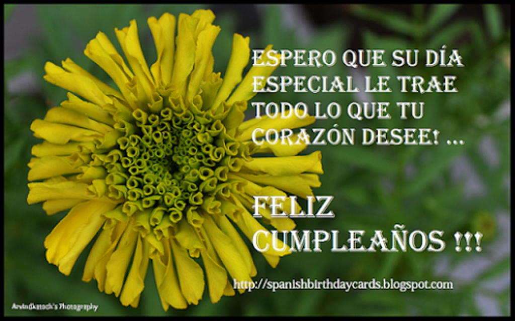 Best Birthday Wishes In Spanish Language hbis3601