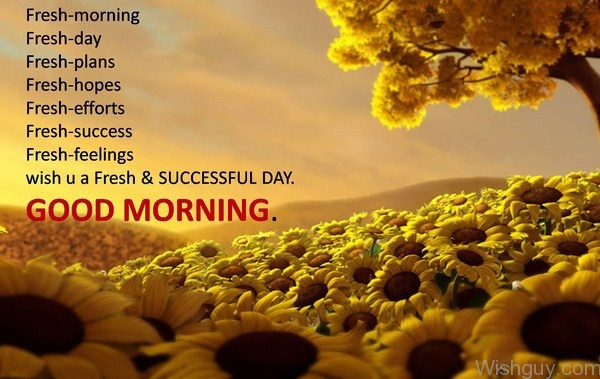 Good Morning - Wish U Have A Fresh Day