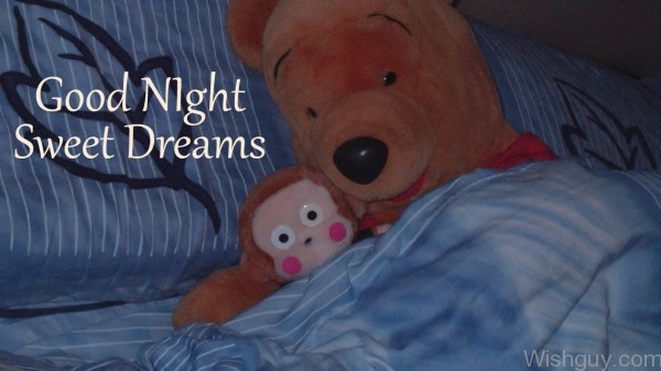 Good Night Sweet Dreams 