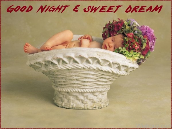 Good Night and Sweet Dream