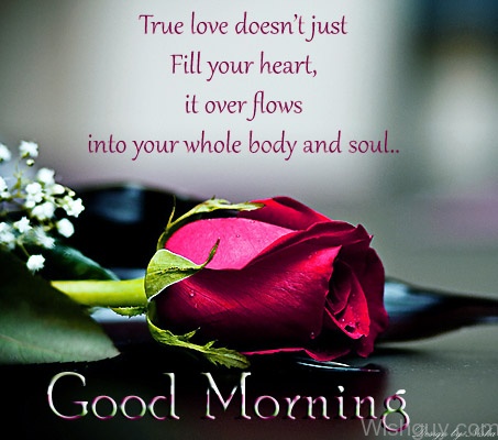 Goog Morning Wish To My Love