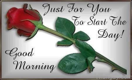 Just For You - Good Morning