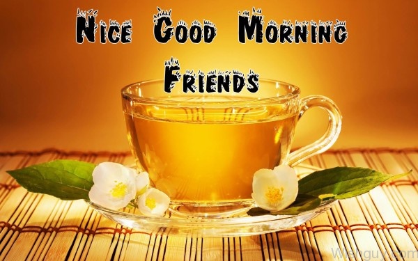 Nice Good Morning Friends
