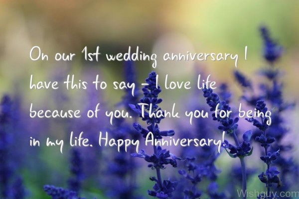 On Our 1st Wedding Anniversary