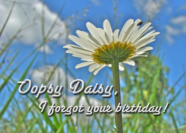 Ooops Daisy I Forgot Your Birthday