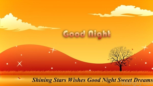 Shining Stars Wishes Good Night Sweet Dreams