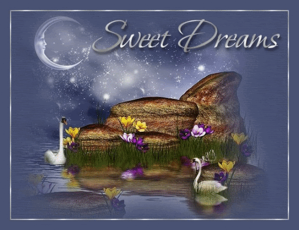 Sweet Dreams Dear