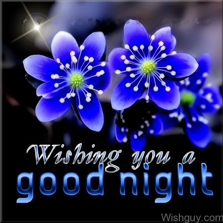 Wishing You A Good Night