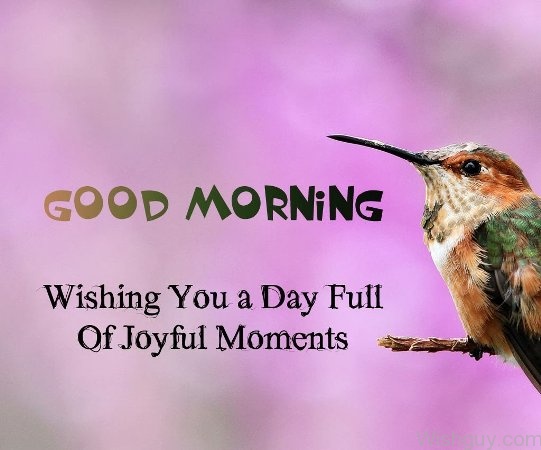 Wishing You A Joyful Day