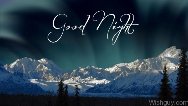 Wishing You Good Night