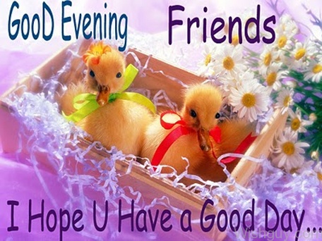 Good Evening Friends - I Hope U Have A Good Day