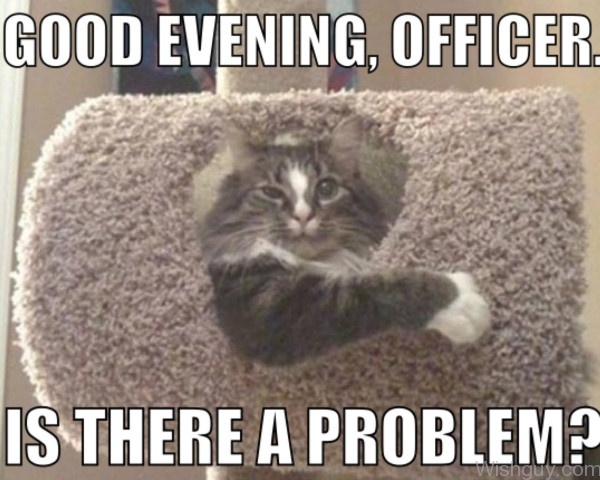 Good Evening Officer
