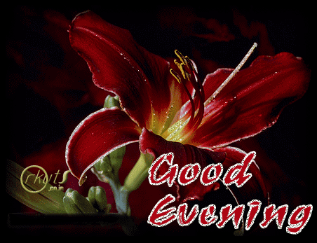 Good Evening - Red Glitter