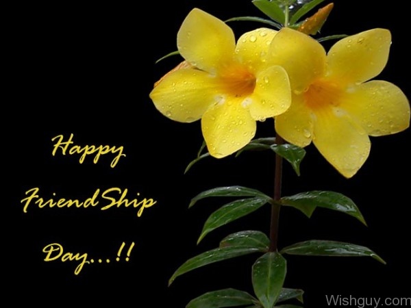 Happy Friendship Day !!
