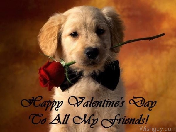 Happy Valentine's Day To My Friend