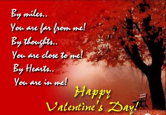 Happy Valentine's Day To My Love