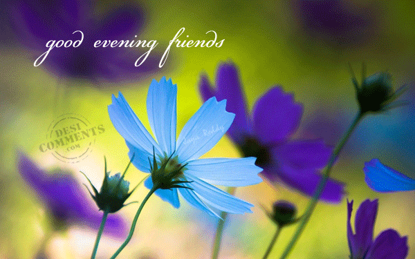 Lovely Evening Wish