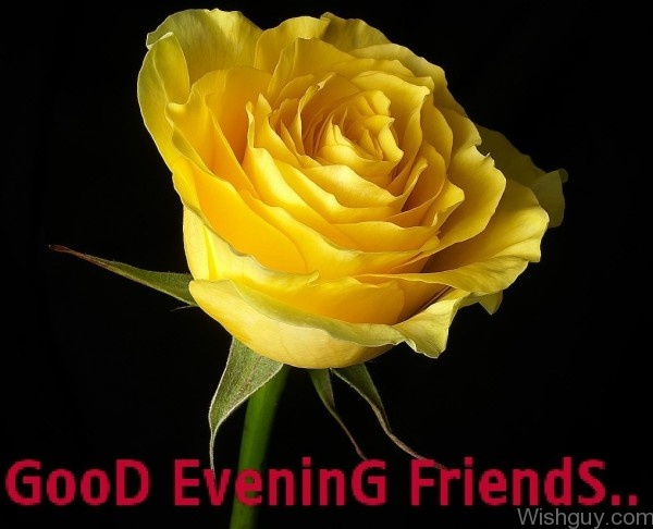 Pic Of Evening - Friends