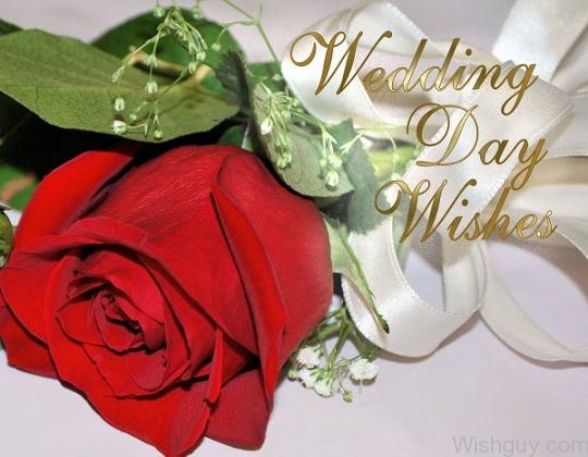 Wedding Day Wishes