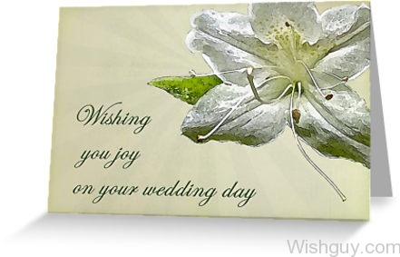 Wishing You Joy On Your Wedding Day