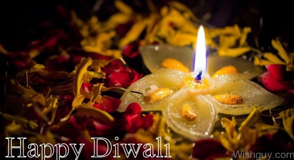 Diwali Celebrations