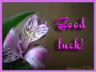 Good Luck Dear