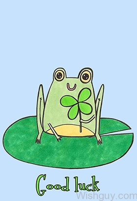 Good Luck - Frog Image