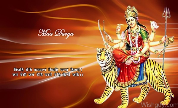 Maa Durga's Navratri