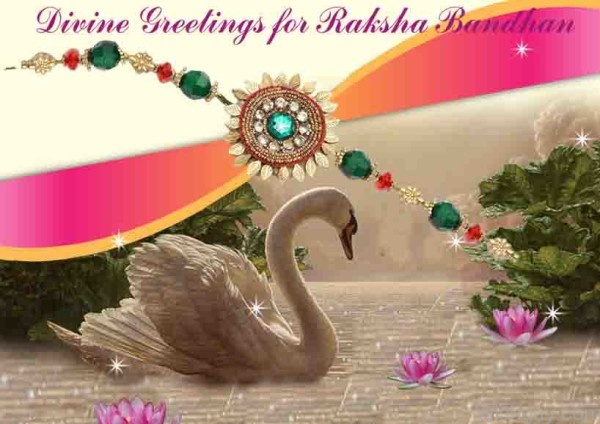 Raksha Bandhan - Image
