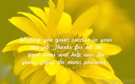 Wishing You Great Success In Your Job