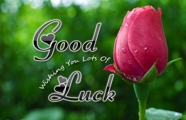 Wishing You Lots Of Luck