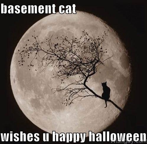 Basement Cat Wishes U Happy Halloween-ds13