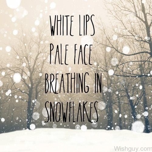 Breathing In Snow Lakes-vx11