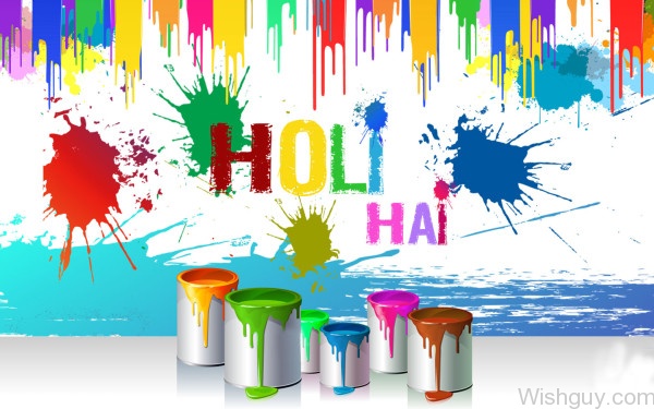 Colorful Holi-mp17