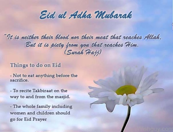 Eid Ul Adha Mubarak-wg216