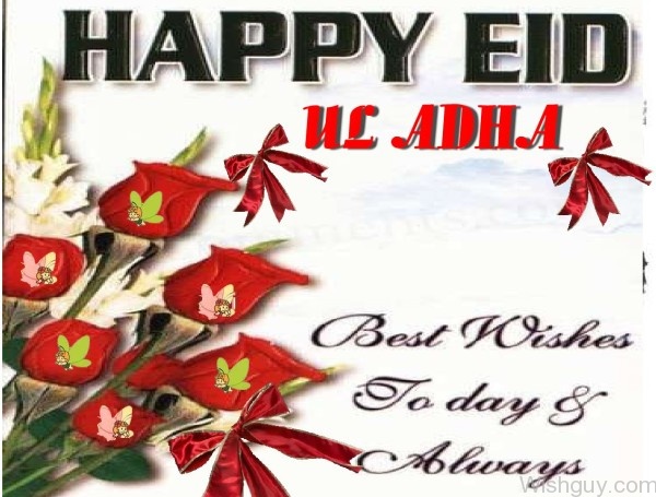 Eid Ul Adha - Photo-Md008