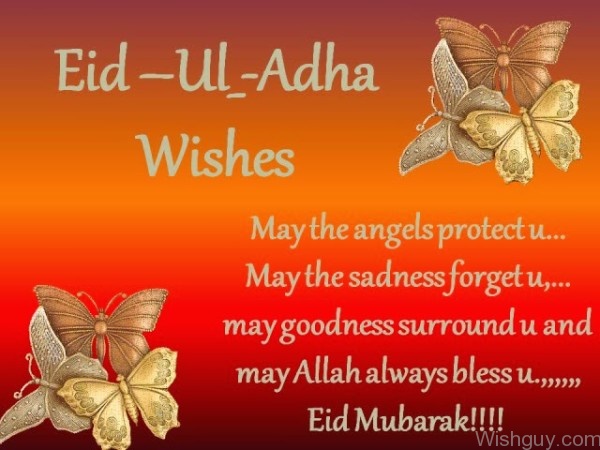 Eid - Ul - Adha Wishes-Md005