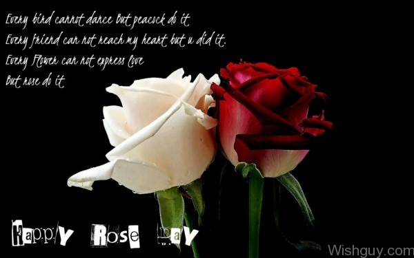 Every Flower Cannot Express Love But Rose Do It-cm110