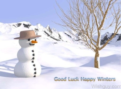 Good Luck Winter-vx13