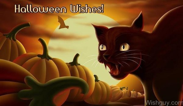 Halloween Wishes-ds19