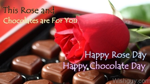 Happy Rose Day And Happy Chocolate day-bc125
