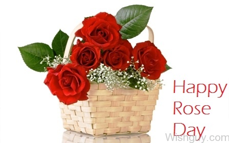 Happy Rose Day Flowers Bucket-cm115