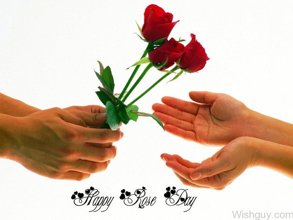 Happy Rose Day My Love-cm122