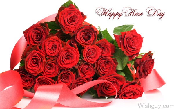 Rose Day Wishes-cm22