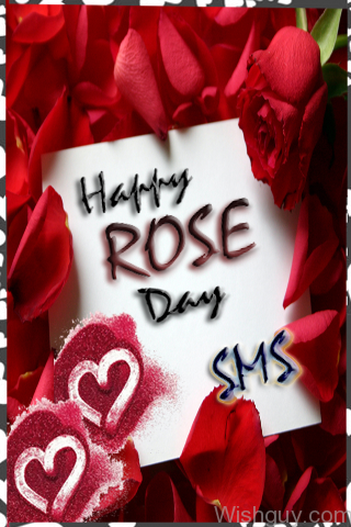Happy Rose Day SMS-cm126
