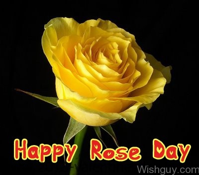 Happy Rose Day Yellow Rose-cm131