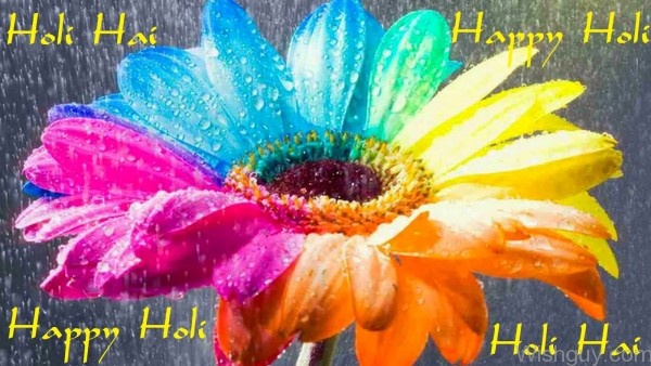 Have A Splashing Holi-mp134