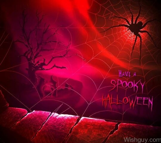 Have A Spooky Halloween-ds125