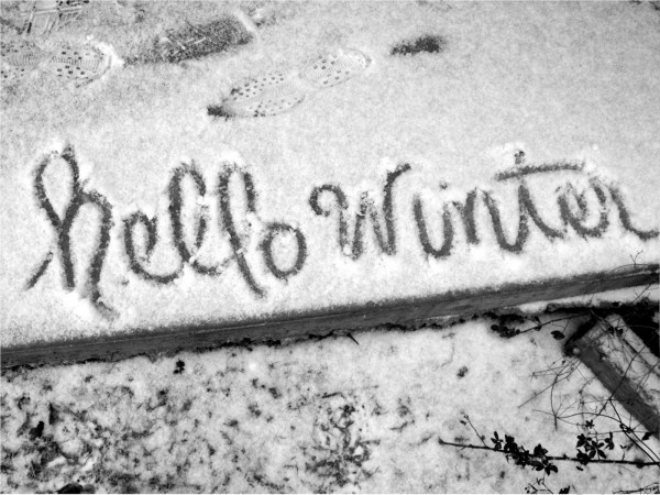 Hello Winter-vx110
