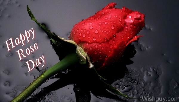 Image Of Happy Rose Day-cm134